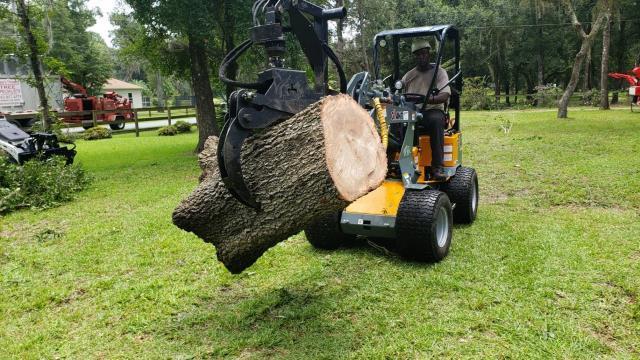Rental store for Mini Giant Telescope Loader W Turf Tires in Greensboro NC